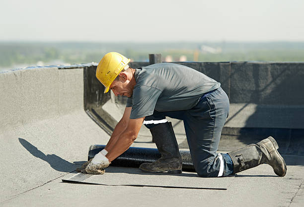 Best Insulation Removal Services  in Winnemucca, NV