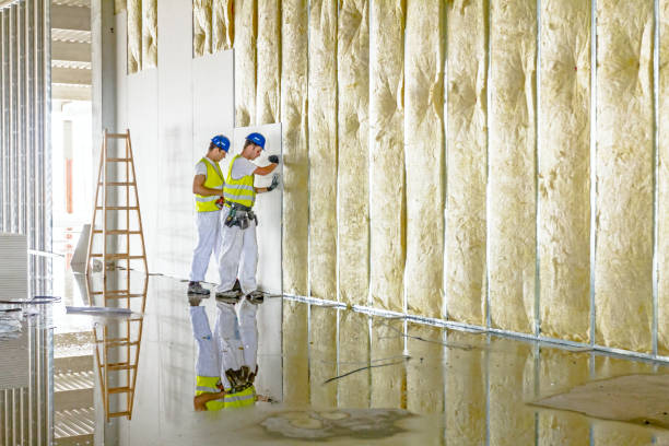 Best Spray Foam Insulation  in Winnemucca, NV